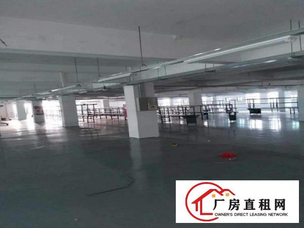  寮步海关附近新出2楼2300平带装修厂房