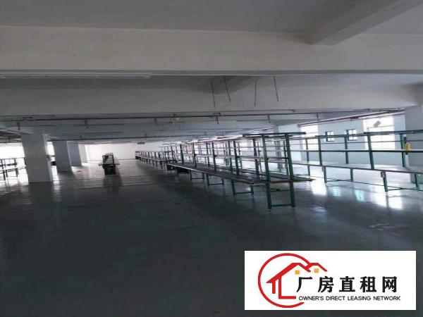  寮步海关附近新出2楼2300平带装修厂房