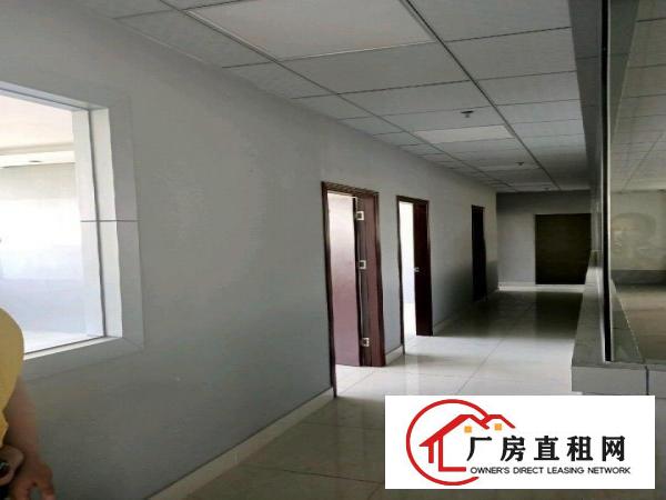  寮步镇全新装修厂房出租