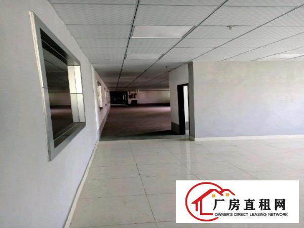  寮步镇全新装修厂房出租