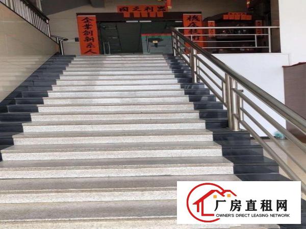  独院钢构单一层带豪华独立办公楼