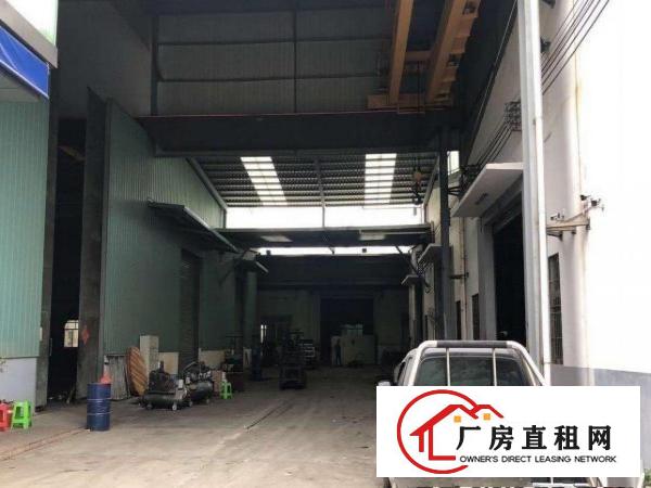  独院钢构单一层带豪华独立办公楼