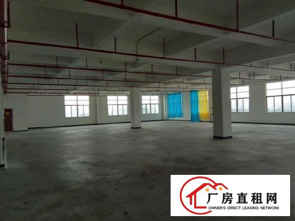  竹园精装修二楼2600平方厂房出租，空地大