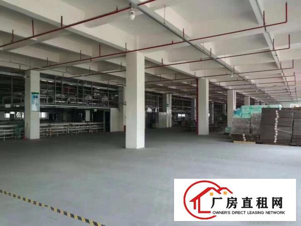  独院标准厂房出租形象好空地大