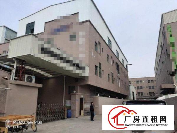  石大路旁一手房东房源2200平