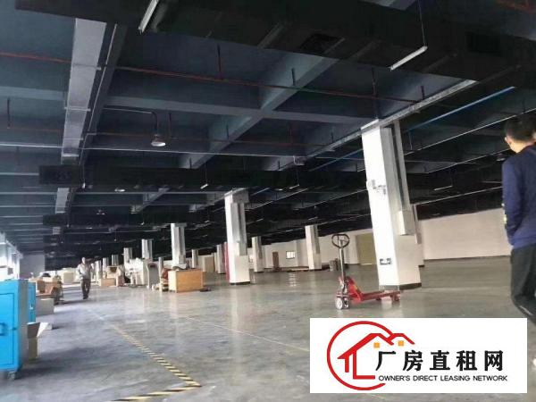  松山湖旁原房东高端厂房