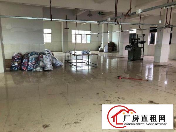  寮步良边寮茶路300平标准厂房，月租只要三千