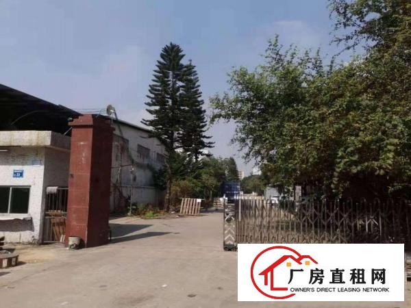  带国土证红本厂房特惠招租