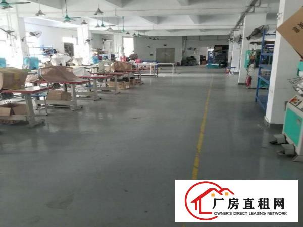  精装靓房，喜欢的速度啊