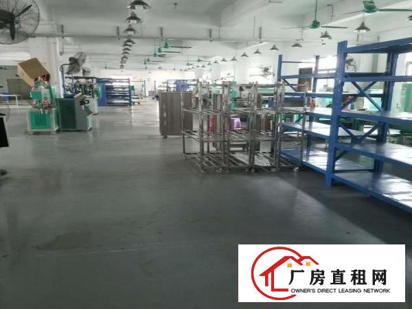  精装靓房，喜欢的速度啊