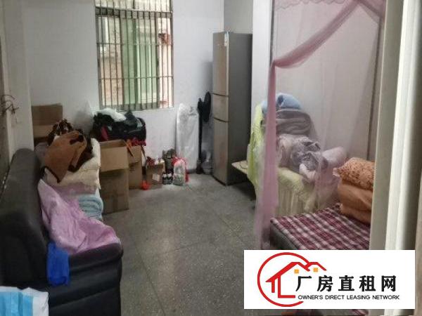  民房小加工厂合租（分租