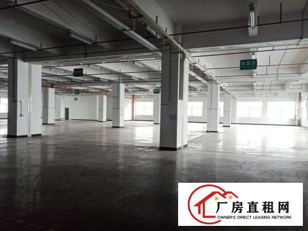  良边工业区标准厂房一楼900平米出租办公室装修空地大