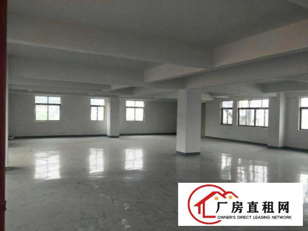  石步工业区新出一全新独栋厂房1000平方。可分租。