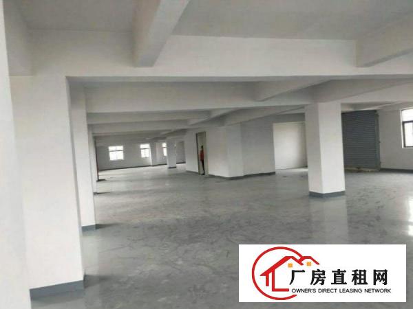  石步工业区新出一全新独栋厂房1000平方。可分租。