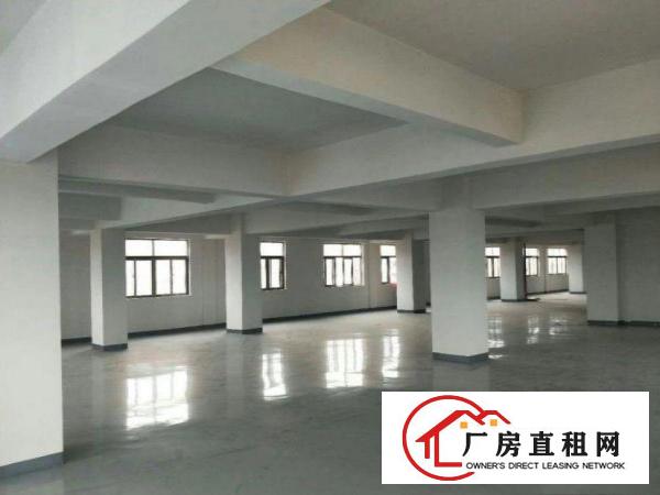  石步工业区新出一全新独栋厂房1000平方。可分租。