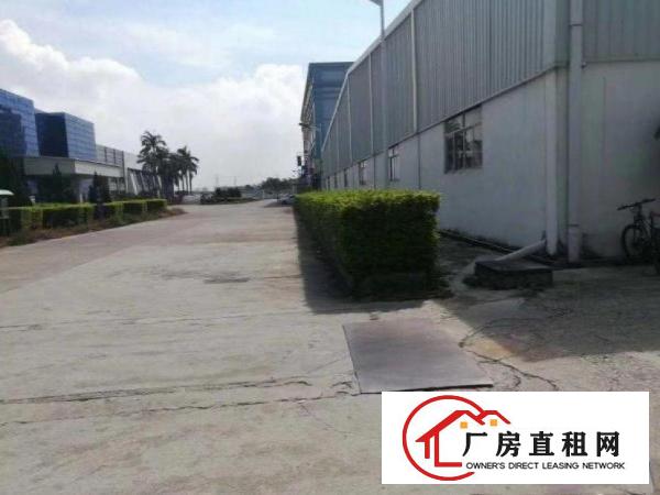  小坑新出一楼钢构厂房1000平分租，滴水9米