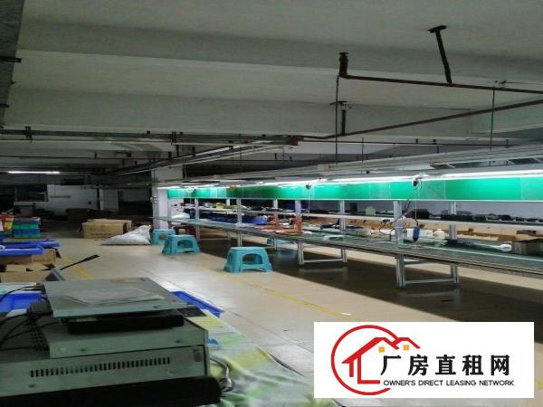  现成办公室，独栋厂房，二三四楼出租
