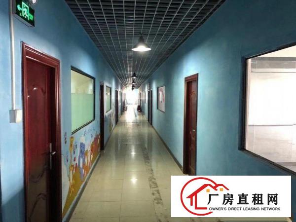  厂房面积大实用停车位多方便