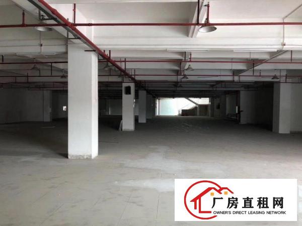  厂房面积大实用停车位多方便