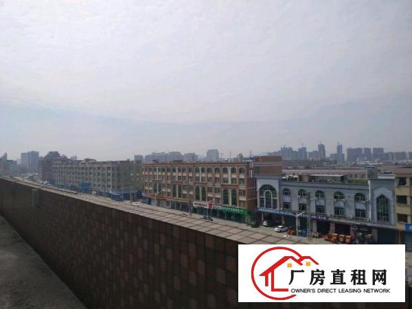  石大路上整层小厂房工厂仓库招租出租