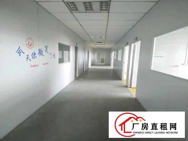  石大路上整层小厂房工厂仓库招租出租