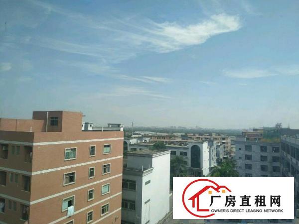  石大路上整层小厂房工厂仓库招租出租