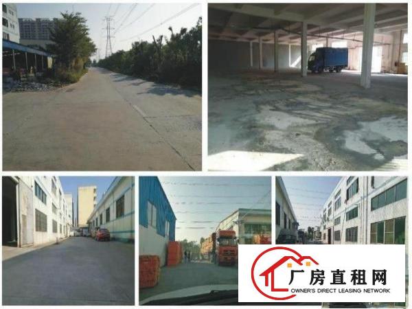  环城路边仓储物流园招租,大型物流场地招租