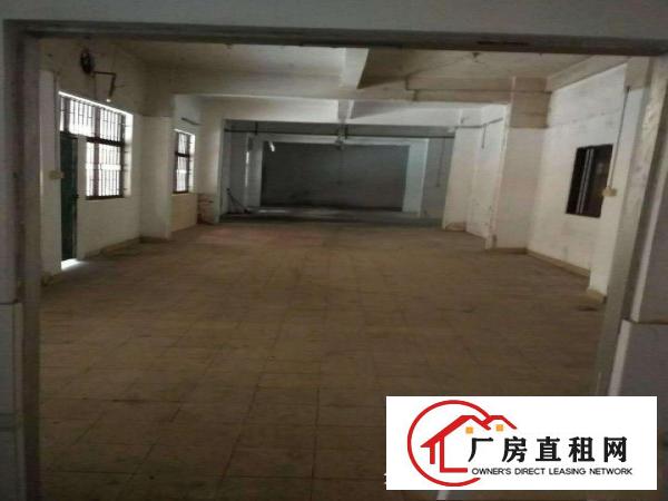  寮步大型独院一楼物流仓库出租