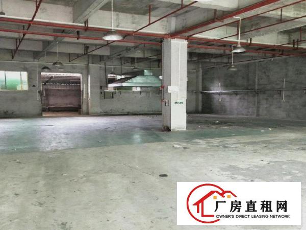  新出工业园一楼500平方