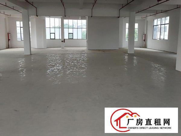  房东直租300至4000平方大小分租