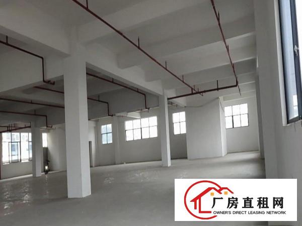  房东直租300至4000平方大小分租