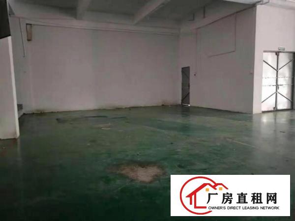  出租寮步镇石龙坑莞兴工业园兴隆路4号