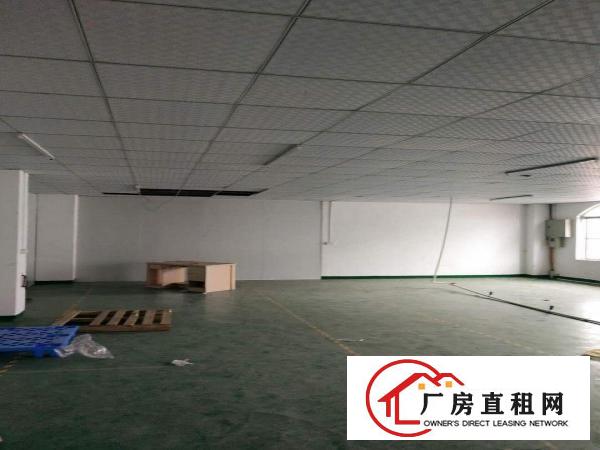  出租寮步镇石龙坑莞兴工业园兴隆路4号