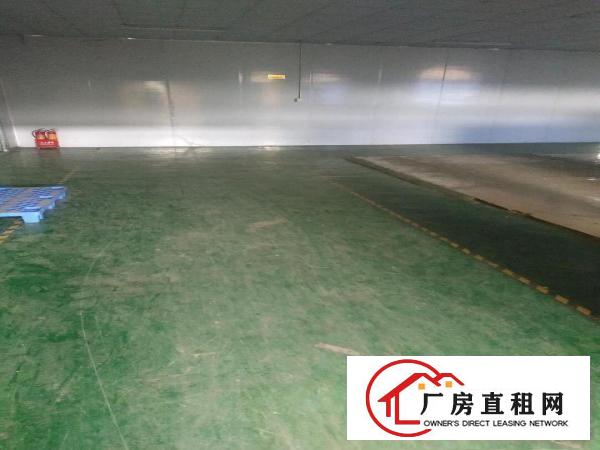  出租寮步镇石龙坑莞兴工业园兴隆路4号