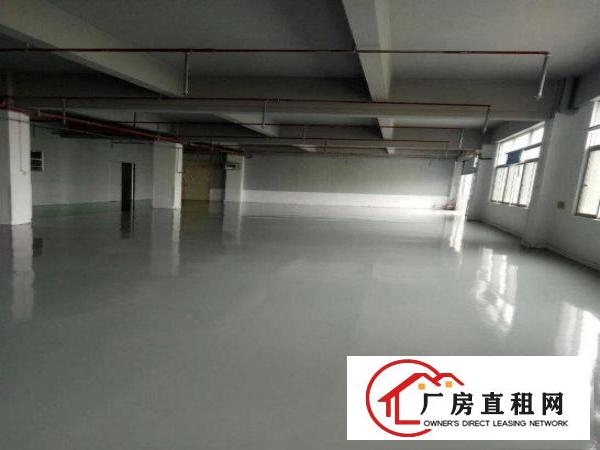  向西标准厂房一楼550平方出租