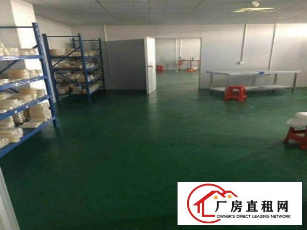  石步新出1000平方带无尘车间厂房出租