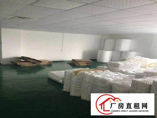  石步新出1000平方带无尘车间厂房出租