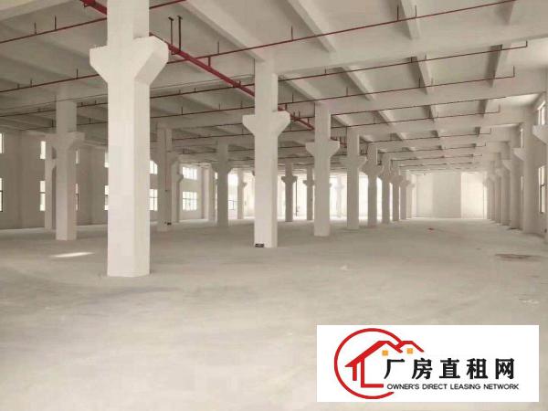  寮步各类大小厂房直租大到10万平方小到100平方