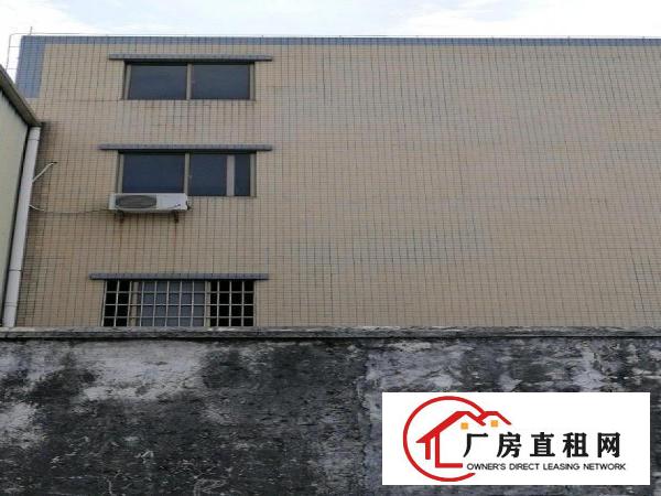  原房东，厂房出租，面积实在，没有公摊