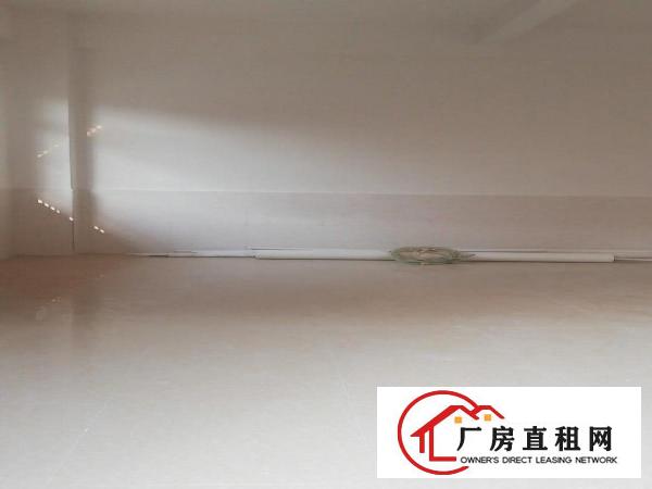  自建房一楼厂房在西溪围仔村