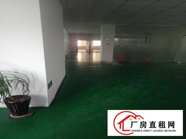  出租寮步镇石龙坑新园路园区厂房可分租