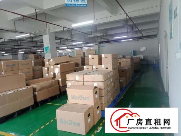  出租寮步镇石龙坑新园路园区厂房可分租