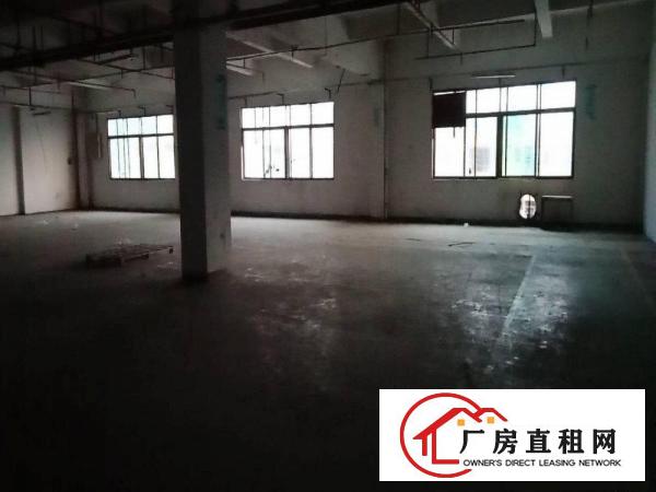  出租寮步镇石龙坑新园路园区厂房可分租