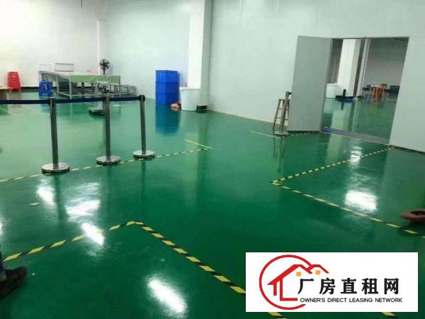  全新地评漆现成办公室