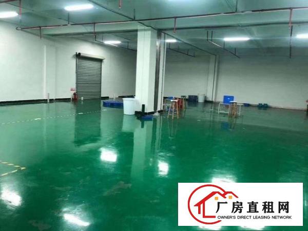  全新地评漆现成办公室