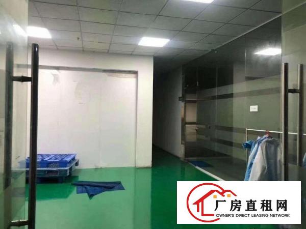  寮步工业区标准厂房分租楼上1000平方招租租