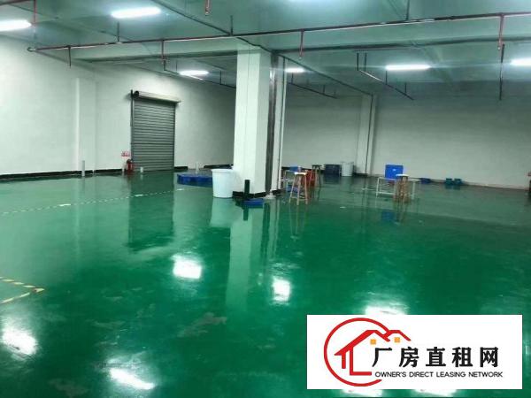  寮步工业区标准厂房分租楼上1000平方招租租