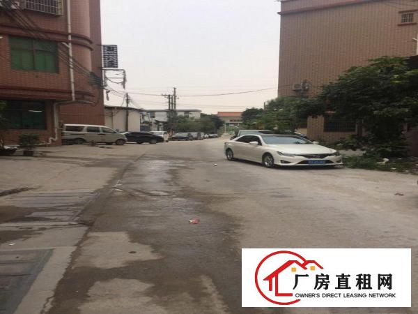  寮步镇原房东小厂房一楼出租