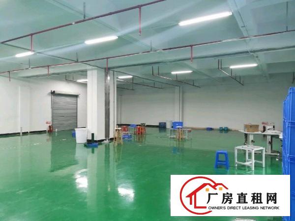  现成装修，拎包入住1000M2