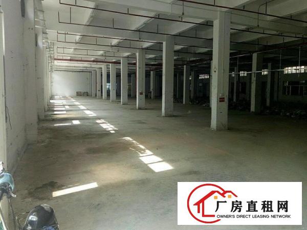  寮步标准厂房一楼1000方出租